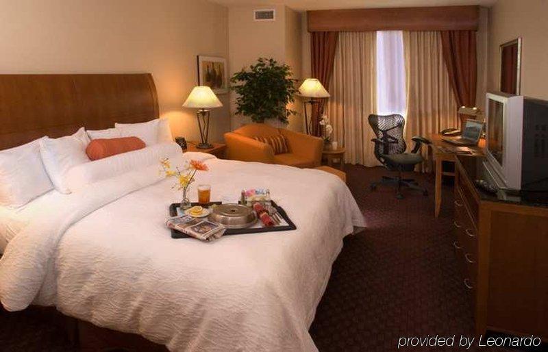 Hilton Garden Inn Dfw Airport South Ірвінг Номер фото